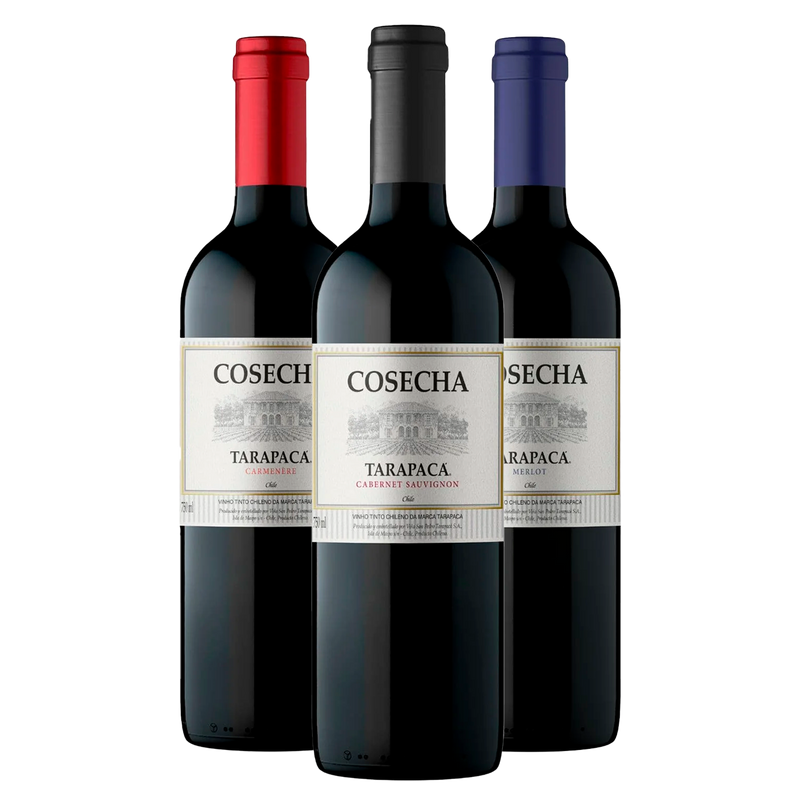 Trio Tintos Tarapacá Cosecha