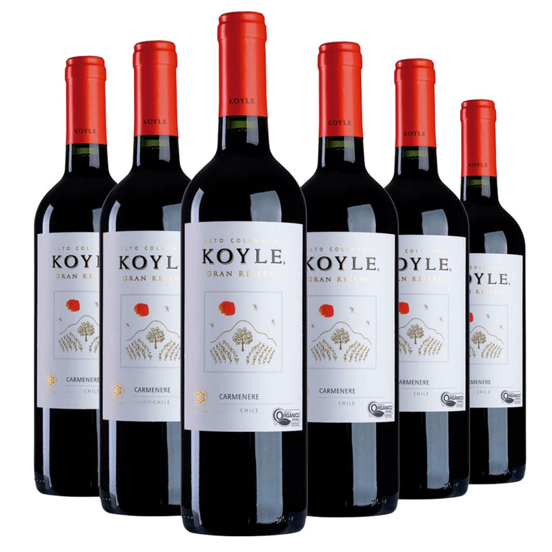 Kit 6 Koyle Gran Reserva Carménère