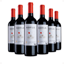 Kit 6 Koyle Gran Reserva Cabernet Sauvignon