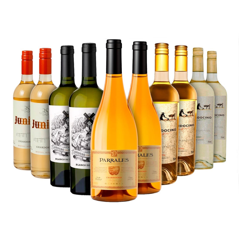 Kit Branco 10 Garrafas