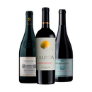 Kit Especial Black de Aniversário