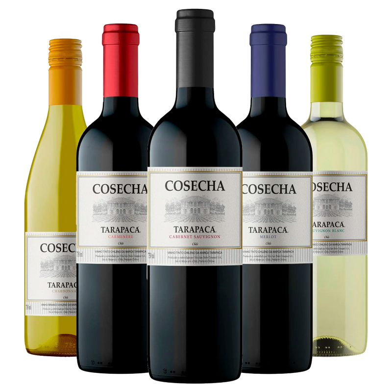 Coleção Tarapacá Cosecha